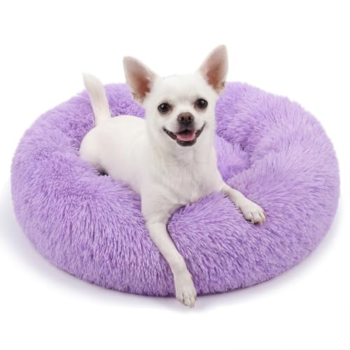Calming Donut Dogs Beds for Small Dogs Washable,19inch Fluffy Round Puppy Bed for Puppies,Cats & Toy Breeds with Raised Rim,Fits up to 15 lbs Pets,Purple - color: Purple, size: 19 inches