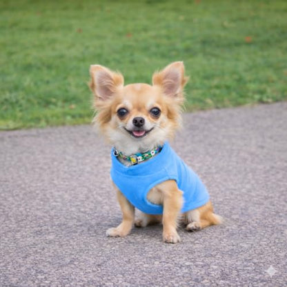 JACKO & CO - Fleece Vest Dog Sweater with Leash Ring - Soft, Warm & Lightweight Pullover Coat for Small & Medium Dogs, Puppies & Cats - Cozy Fall/Winter/Spring Pet Jacket (Blue, Small 4-6lbs) - color: Blue, size: S (4-6lbs)