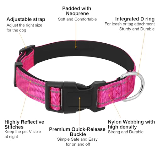 Dog Collars Adjustable for Small Dogs,Heavy Duty Waterproof Dog Collar with Quick Release Buckle,Girl Boy Female Male Reflective Nylon Dog Collar with Soft Neoprene Padded,S,Rose - color: Rose, size: Small