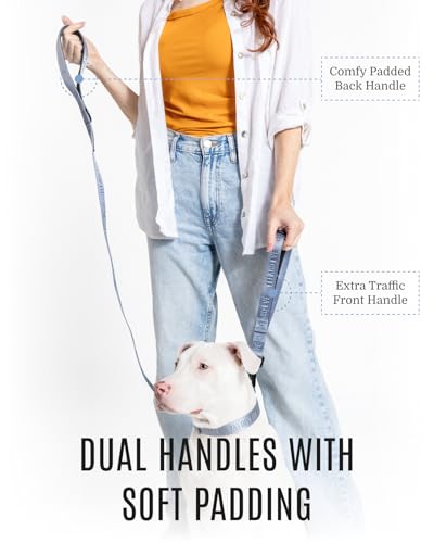 Fei & Eve Classic Dog Leash - 4FT, Dual Padded Handles, 360° Swivel Hook, Heavy Duty 210D Nylon - No-Pull Design with Traffic Control Handle - for Small/Medium/Large Dogs, Blue - color: Dusk Blue, size: 4FT