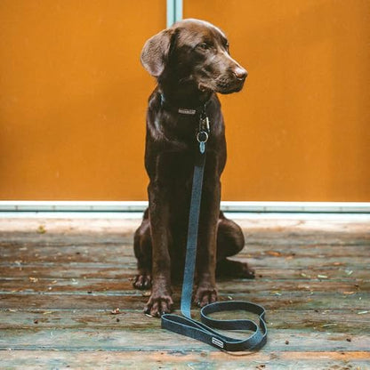 Wilderdog Waterproof Dog Collar - Repels Water & Dirt - Small 11"-15" - Black - color: Black, size: Small