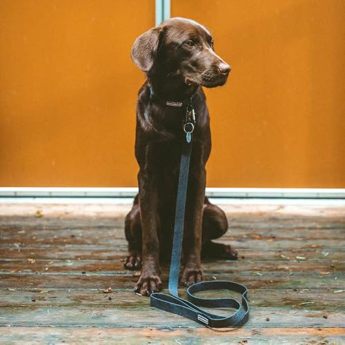 Wilderdog Waterproof Dog Collar - Repels Water & Dirt - Large 17"-24" - Black - color: Black, size: Large