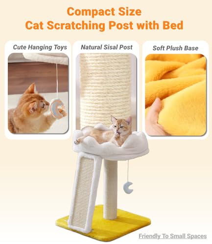 Happi N Pets Cat Tree, Cloud Cat Tower with Soft Bed, Cat Scratching Post & Pad with Larger Perch for Window Viewing, Small Cat Tree with Cute Toys, Bonus Catnip - size: 22" with Scratching Pad