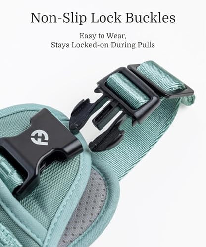 2026 New Edition, Fei & Eve Classic Dog Harness - Quick-Release Buckles | 3-Point No-Pull Control | Heavy-Duty 900D Nylon | Dual Safety Handles | Breathable Mesh | Adjustable Fit | Small,Green - color: Glacier Green, size: S