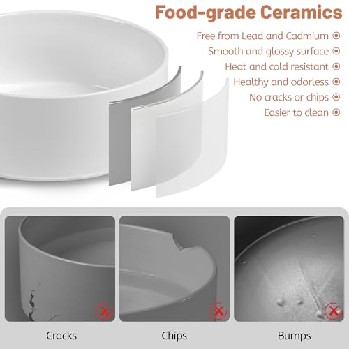 Non Slip Dog Bowls, Heavy Ceramic Dog Food and Water Bowl with Silicone Base, Pet Feeding Bowl for Puppies, Small and Medium Dogs (Glossy White, 6 Inches) - color: Glossy White, size: 6 Inches