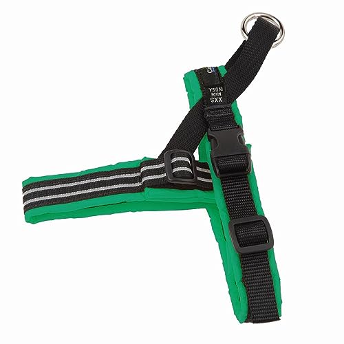 ComfortFlex Sport Dog Harness – No-Choke, Fully Padded, Non-Chafing Harness with Control Handle – Reflective, Lightweight, Adjustable for Active Dogs - Petite, Kelly Green - color: Kelly Green, size: Petite