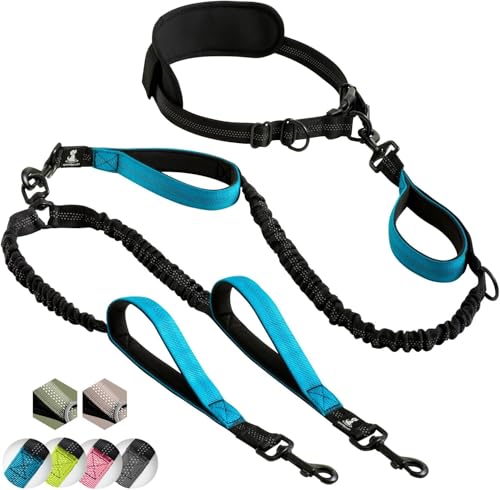 SparklyPets Hands Free Double Dog Leash – Dual Leash for Medium and Large Breeds – Lead for 2 Dogs with Padded Handles, Reflective Stitches, No Pull, Tangle Free - color: Blue, size: 2 dogs M/L