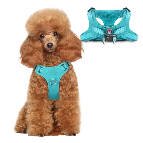 Dog Harness Step in Dog Vest Harness, Reflective Adjustable Puppy No Pull Harness Breathable Soft for Small and Medium Dogs Cats, Ocean Blue, XS - color: Ocean Blue, size: X-Small