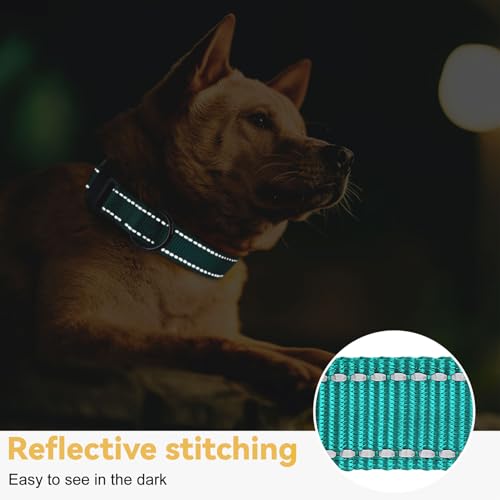 HEELE Dog Collar, Reflective Dog Collar, Soft Neoprene Padded Breathable Nylon Pet Collar Adjustable for Small Dogs, Turquoise, S(10.23-14.96") - color: Turquoise, size: Small (10.23-14.96")