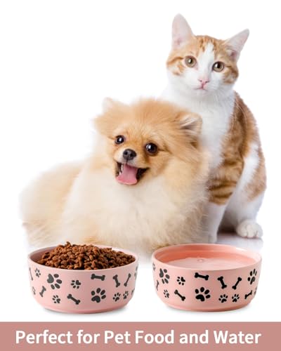 UBEE Ceramic Dog Bowl Set of 2, 5.5 inch Dog Food Bowl Dish with Bone Paw Pattern, Pet Food Water Dish Feeding Plates for Small Dogs, Puppy and Cat, Pink - color: Pink-dog paw, size: 5.5 inch x 2