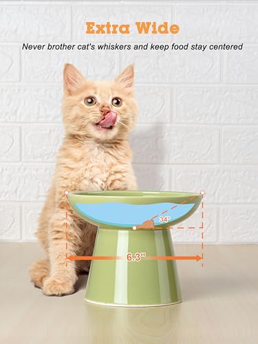 LoeJan Elevated Green Cat Bowls Set - Wide Raised Ceramic Feeder, Anti-Vomit Whisker-Free Bowl for Kittens to Adult Cats - color: Green, size: Single (Food Bowl)