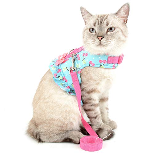 Zunea No Pull Small Dog Girl Harness Dress Escape Proof Cat Kitten Vest Harness Leash Set Step-in Soft Cotton Padded Cherry Printed Jacket Chihuahua Puppy Clothes with Bow for Walking Blue M - color: blue cherry, size: M (Chest:16.9-17.7", Neck:10.6-11.4"