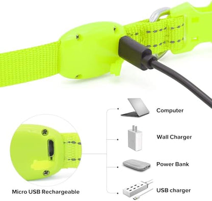 BSEEN Light Up Dog Collars - Glowing LED Dog Collar Rechargeable Puppy Collar for Small Dogs & Cats, Safety Dog Lights for Night Walking (Green) - color: Green