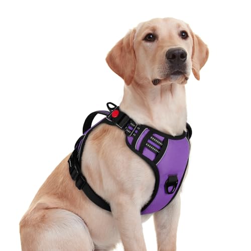 rabbitgoo Dog Harness for Large Dogs, No Pull Pet Harness with Soft Padded Handle, Adjustable Reflective Vest with 3 Buckles, Easy Walking Harness with 2 Leash Clips, Purple, M - color: Purple, size: Medium