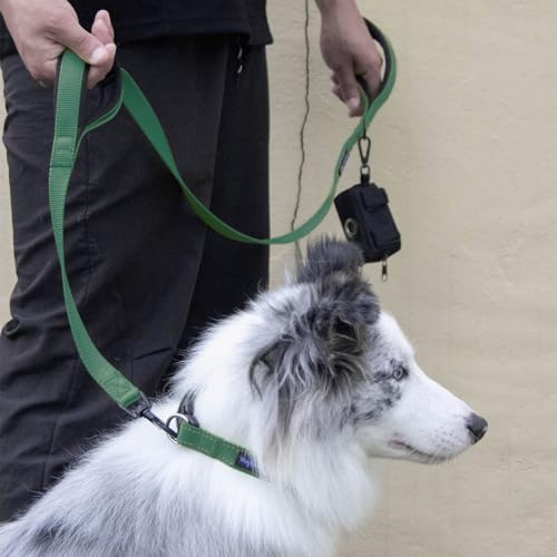 Wagtime Club Double Handle Dog Leash, 6ft Long Heavy Duty Dog Leash with Paded Traffic Handles for Extral Control and Training, Dual Handles Leads, Large Medium Small Dogs (Hunter Green) - color: Hunter Green