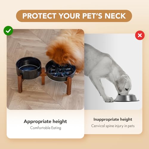 Havniva 1.2 Cup Elevated Slow Feeder Dog Bowls, 7.3” Dog Slow Feeding Bowls + 6.1” Ceramic Dog Water Bowls Set with Acacia Wood Stand, Dog Food Bowls Puzzle Feeder for Small Dogs Non-Slip Anti-choking - color: 2 x Starry Sky + Stand - C, size: M- 7.3inch