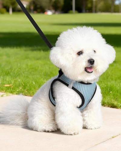 Dog Harness Small Sized and Leash Set, Step in Soft Light Puppy Vest, Breathable Mesh Pet Harness Suitable for Puppies and Kittens. (Blue, M(Chest:15.75-18.11")) - color: Blue, size: M(Chest:15.75-18.11")