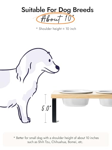 Elevated Dog Bowls, Raised Dog Bowl Stand with Two 5.1 inch Ceramic Bowls, Non-Slip Cat Food and Water Dish for Small and Medium Breed, White - color: White, size: 5.1inch
