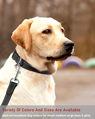 Reflective Dog Collar with Buckle Adjustable Safety Nylon Collars for Small Medium Large Dogs, Black L - color: Black, size: Large :Width 1",Neck 14-22"