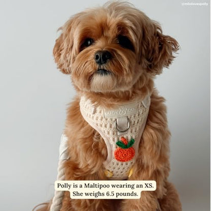 Lucy & Co. Main Squeeze Crochet No-Pull Dog Harness, Adjustable Front Clip Harness with Comfort Padding, Small - color: Main Squeeze, size: Small