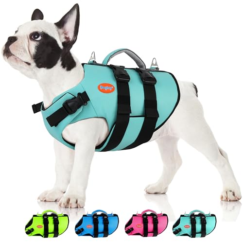 Ripstop Dog Life Vest, Neoprene Puppy Life Jacket for Small Dogs, High Flotation Dog Swimming Vest with Handle & Double D-Rings, Reflective Adjustable Pet Lifesaver for Swimming & Boating - color: Aquagreen, size: Small