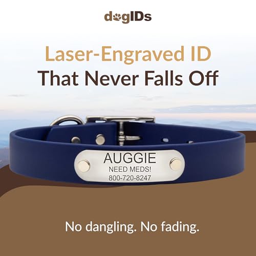 dogIDs Personalized Dog Collar – Custom Waterproof Soft-Grip Biothane with Laser-Engraved Nameplate, Durable & Odor-Resistant, USA Made | Navy, 1 in x 16 in (Fits Necks Size 14-18 in) - color: Navy, size: 1 in x 16 in (Fits Necks Size 14-18 in)