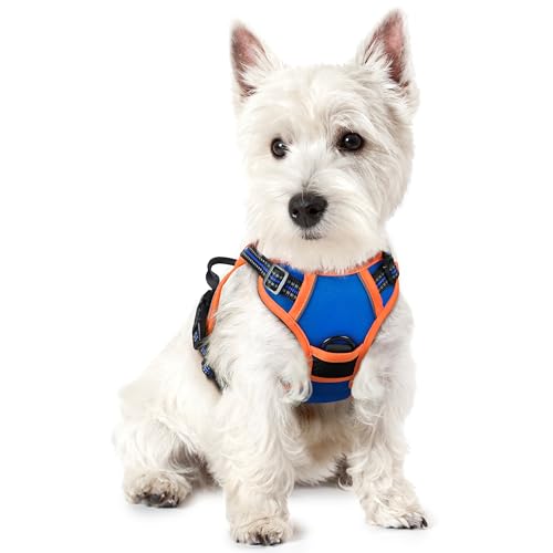rabbitgoo Dog Harness No Pull with 2 Leash Clips, Adjustable Soft Padded, Reflective Oxford No Choke Pet Vest with Easy Control Handle for Puppy, Blue & Orange, XS - color: Blue & Orange, size: X-Small