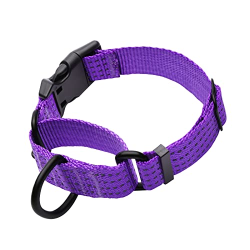 Martingale Collar for Training Dogs. Adjustable Reflective Dog Collars with Buckle- NO Pull-Prevents Slipping Out, for Medium Large XL Dogs. Helps with Strong pullers(M, Purple) - color: Purple, size: M