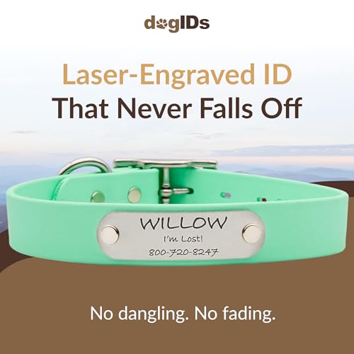 dogIDs Personalized Dog Collar – Custom Waterproof Soft-Grip Biothane with Laser-Engraved Nameplate, Durable & Odor-Resistant, USA Made | Mint, 1 in x 16 in (Fits Necks Size 14-18 in) - color: Mint, size: 1 in x 16 in (Fits Necks Size 14-18 in)