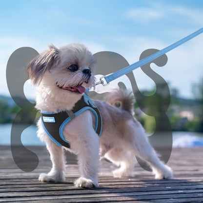 rabbitgoo Dog Harness Small Sized and Leash Set, Step-in Breathable Pet Harness, Soft Walking Reflective Puppy Vest for Small Dogs, Black & Light Blue, XXS - color: Black & Light Blue, size: XXS (Chest: 12.4 - 14.2")