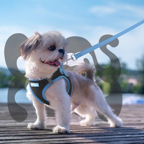 rabbitgoo Dog Harness Small Sized and Leash Set, Step-in Breathable Pet Harness, Soft Walking Reflective Puppy Vest for Small Dogs, Black & Light Blue, XS - color: Black & Light Blue, size: XS (Chest: 13.3 - 15.5")