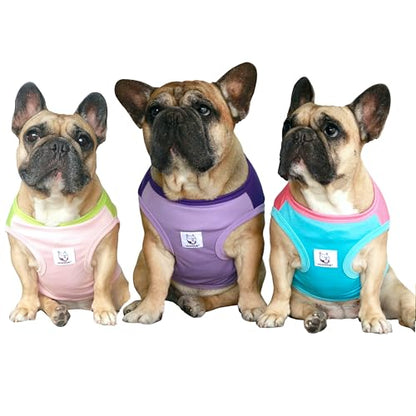 iChoue 3pcs French Bulldog Summer Cooling Shirt for Dogs UV Sun Protection Vest Sleeveless Breathable Tank Top English Pug Pink Green Purple Turquoise Rose - Medium - color: Cooling Shirts Pink Purple Turquoise 3pcs, size: Medium ( 15 - 25 lbs )