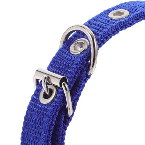IMIKEYA Adjustable Pet Collar with Alloy Buckle Soft Foam Padding Small Size Blue Collar for Puppy and Cat Neck Decor for Daily Use and Festivals