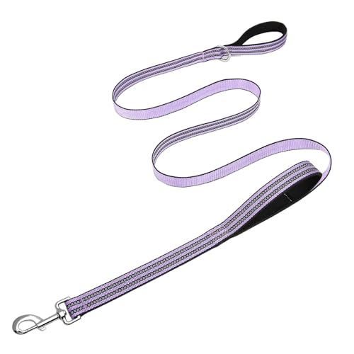 Hikiko Double Handle Traffic Dog Leash Reflective Training Walking Lead for Medium and Large Dogs (Lavender,4FT) - color: Lavender, size: 1 in x 4 ft