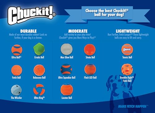 Chuckit! Fetch Pack Dog Balls - Interactive Dog Toys, High-Bounce Fetch Ball, Floating Ultra and Rugged Balls, Durable - Size Small, 2-inch Diameter, Set of 3 (Pack of 12) - size: Small (2") (Pack of 12), style: Fetch Pack 1