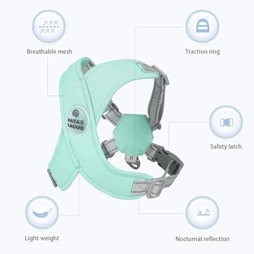 Dog Harness with Leash Set Adjustable Soft Padded Step-in Dog Vest No Choke No Pull Reflective for Small Pets with Poop Bags and Dispenser, Solid and No-chew, Green XS - color: Green, size: XS (Neck 16-19.1'' Chest 18.8-21.5'')