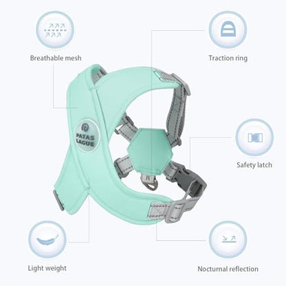 Dog Harness with Leash Set Adjustable Soft Padded Step-in Dog Vest No Choke No Pull Reflective for Small Pets with Poop Bags and Dispenser, Solid and No-chew, Green XS - color: Green, size: XS (Neck 16-19.1'' Chest 18.8-21.5'')