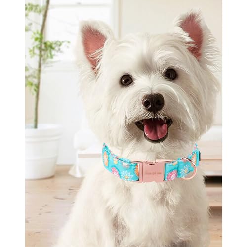 Sunflower Summer Dog Collar, Unique Style Paws Blue Pet Collar Adjustable Girl Dog Collar with Metal Buckle for Small Medium Large Dogs - color: BSunflower CC, size: XS