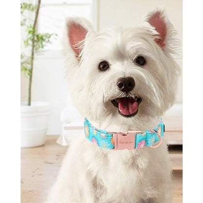 Sunflower Summer Dog Collar, Unique Style Paws Blue Pet Collar Adjustable Girl Dog Collar with Metal Buckle for Small Medium Large Dogs - color: BSunflower CC, size: S