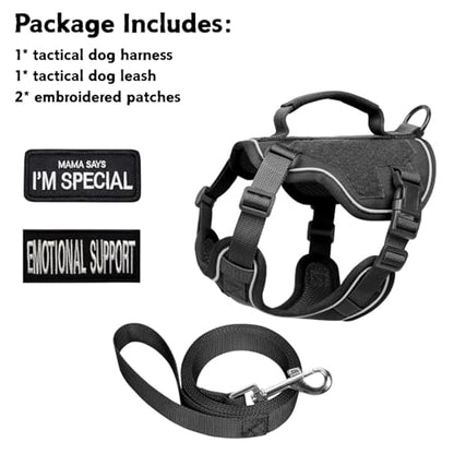 Tactical Dog Harness and Leash Set for Small Dogs - Military Puppy Vest Harness with Patches Vertical Handle Reflective Pet Harness for Walking Hiking Outdoor Training (Black, XXS) - size: Xxs