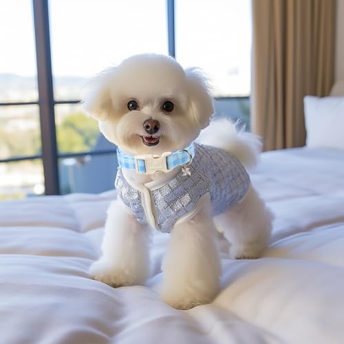 Boy Dog Collar Blue Gingham Dog Collars for Puppy Small Dogs - Lightweight Adjustable Spring/Summer Plaid Male Female Dogs Everyday Collar with Safety Buckle XS - color: Blue Gingham, size: XS
