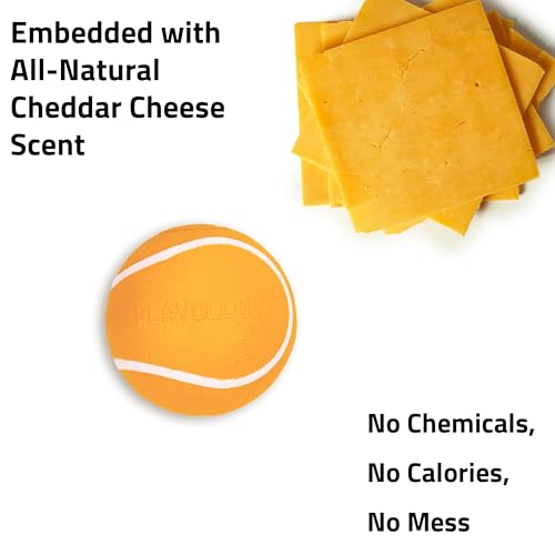 Playology Dog Toys | Squeaky Chew Ball - Bouncy Durable Floating Fetch Ball for Dogs | Medium Cheddar Cheese Scented Toy - Easy to Clean and Made from Non Toxic Materials - size: Medium, style: Cheddar Cheese
