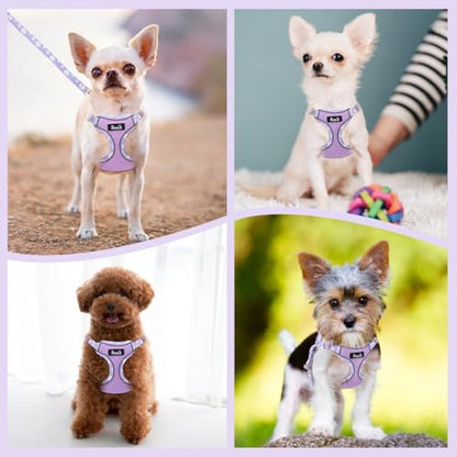SlowTon Small Dog Harness - No Pull Dog Harness and Leash Set, Soft Mesh Lightweight Puppy Vest Harnesses, Adjustable Pet Harnesses for XXS XS Small Medium Easy Walk Hiking (Purple, S) - color: 2.Purple Daisy, size: Small