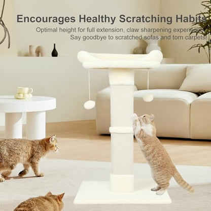 34" Cat Scratching Post for Indoor Cats, Sisal Cat Scratcher with Large Plush Perch, Vertical Posts with Elevated Bed and with Two Dangling Balls, Removable & Washable Cover, Beige White - color: Beige white