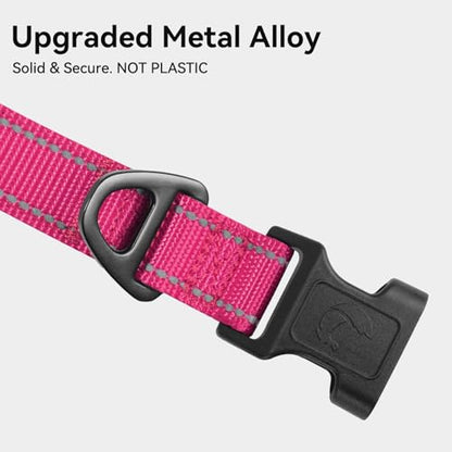 Joytale Reflective Dog Collar, Soft Neoprene Padded, Metal D-Ring, Nylon Pet Collar Adjustable for Small Dogs, Hotpink, S - color: Hotpink, size: Small (Pack of 1)
