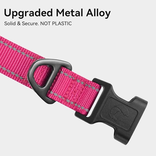Joytale Reflective Dog Collar, Soft Neoprene Padded, Metal D-Ring, Nylon Pet Collar Adjustable for Small Dogs, Hotpink, S - color: Hotpink, size: Small (Pack of 1)