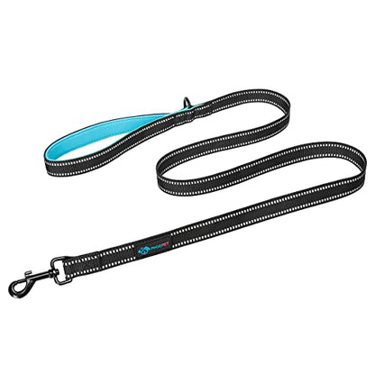 PHOEPET 5 Feet Heavy Duty Dog Leash - Reflective - Soft Padded Handle Traffic Grip for Extra Control (L,Blue) - color: Blue