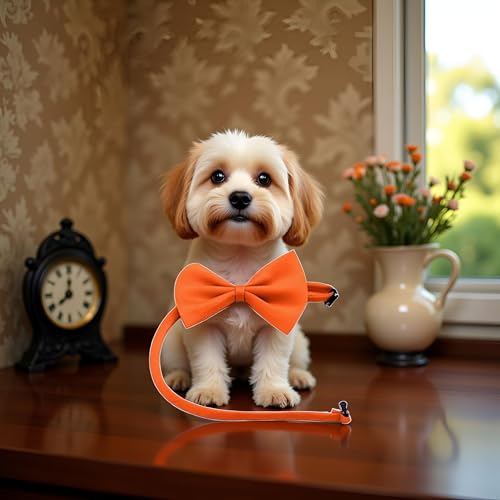 Orange Dog Bow Ties with Adjustable Collar Pet Neckties Cat Bow Tie Dogs Bowtie Collar Dog Bows Grooming Solid Puppy Neckties Cat Collars Basic Dog Collars