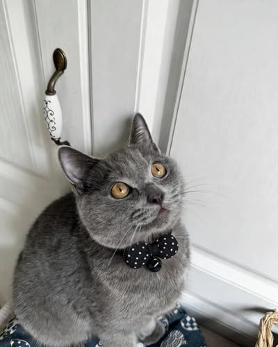 2 Pack Soft Breakaway Safety Cat Collar，Kitten Collar with Bell and Bow Tie,Adjustable Breakaway Cotton Collar for Kitty and Puppy (Polka Dot-Black White) - color: Polka Dot-Black White