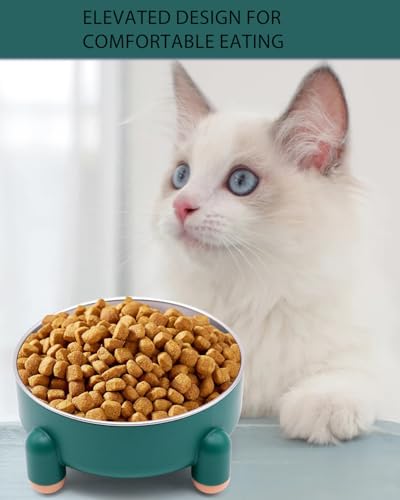Raised Cat Food Bowl, Anti Vomiting Elevated Cat Bowl Stainless Steel, Whisker Friendly Shallow Wide Dish, 3 Cups (24 oz) Non-Slip Dishwasher Safe for Indoor Cats (Green, 1-Pack) - size: 1 Pcs
